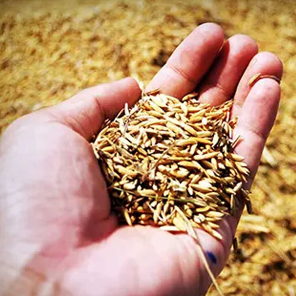 Blended seed amendments