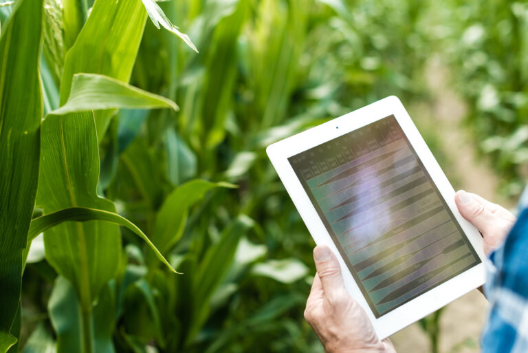 Farmer in the field showing tablet closeup photo 2024 10 22 05 43 02 utc