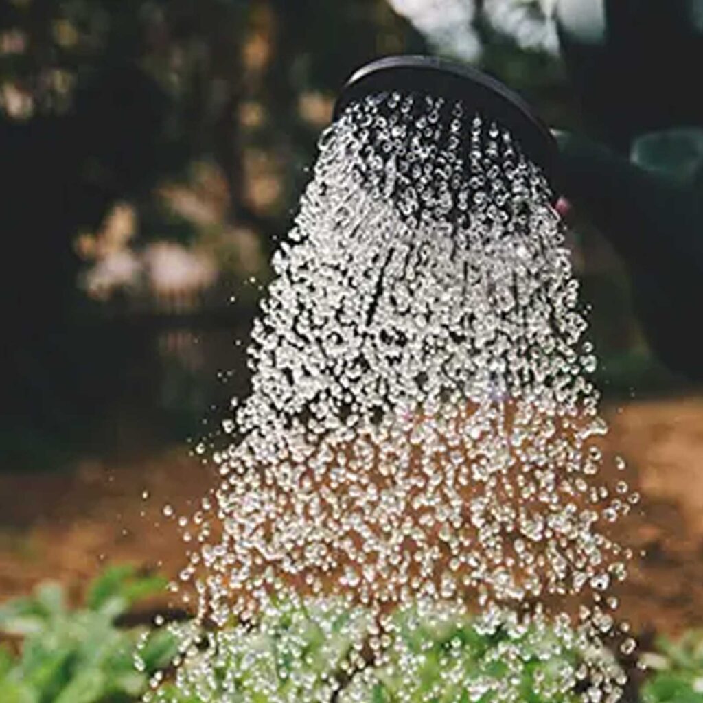 Liquid fertilizers and ammendments
